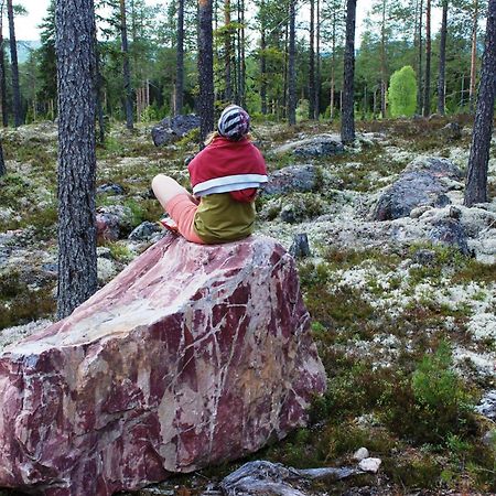 12 - Fulufjellets Nasjonalparker - Natur-, Dyre- Og Fugleopplevelser Ljørdal エクステリア 写真