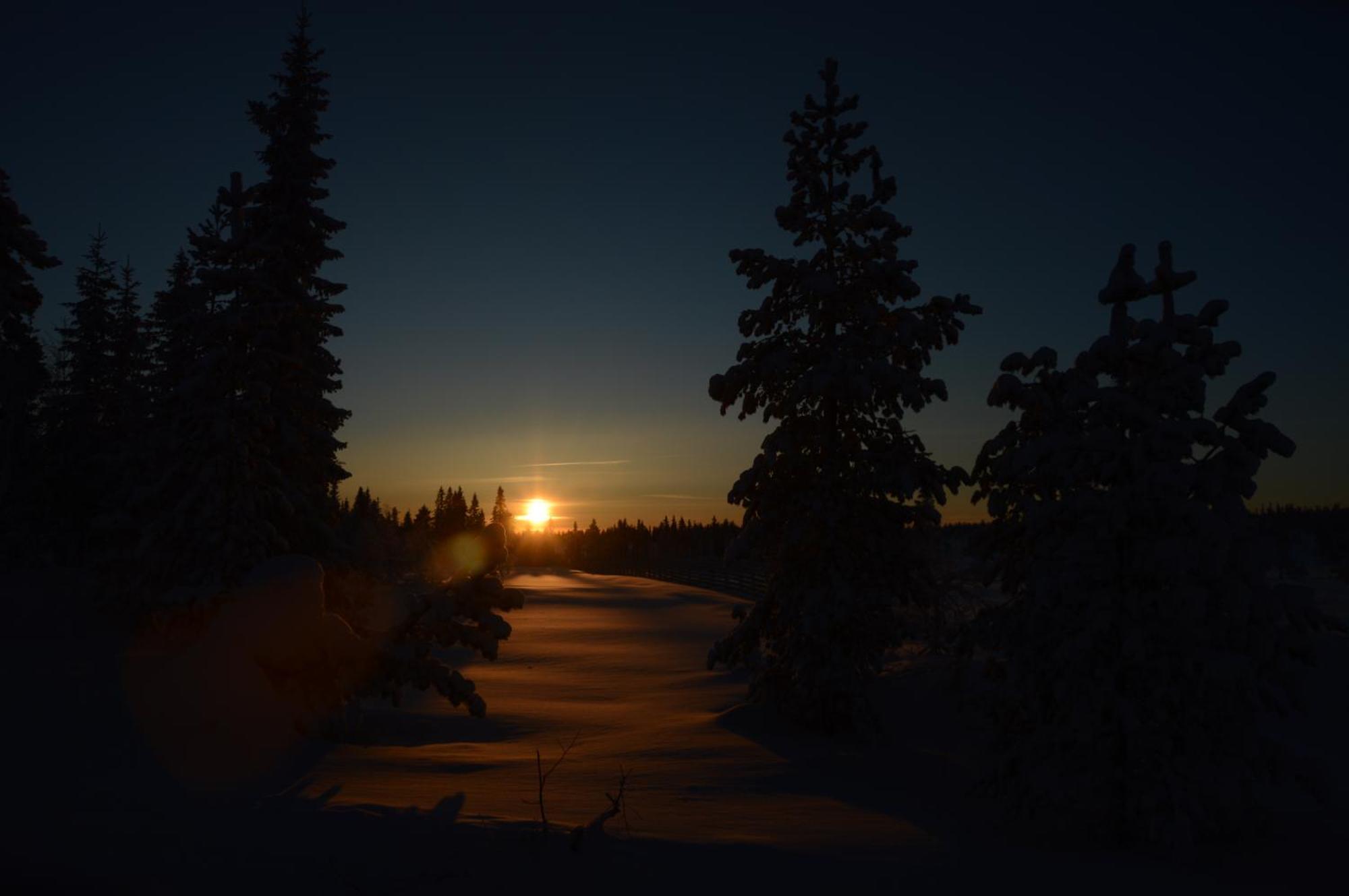 12 - Fulufjellets Nasjonalparker - Natur-, Dyre- Og Fugleopplevelser Ljørdal エクステリア 写真