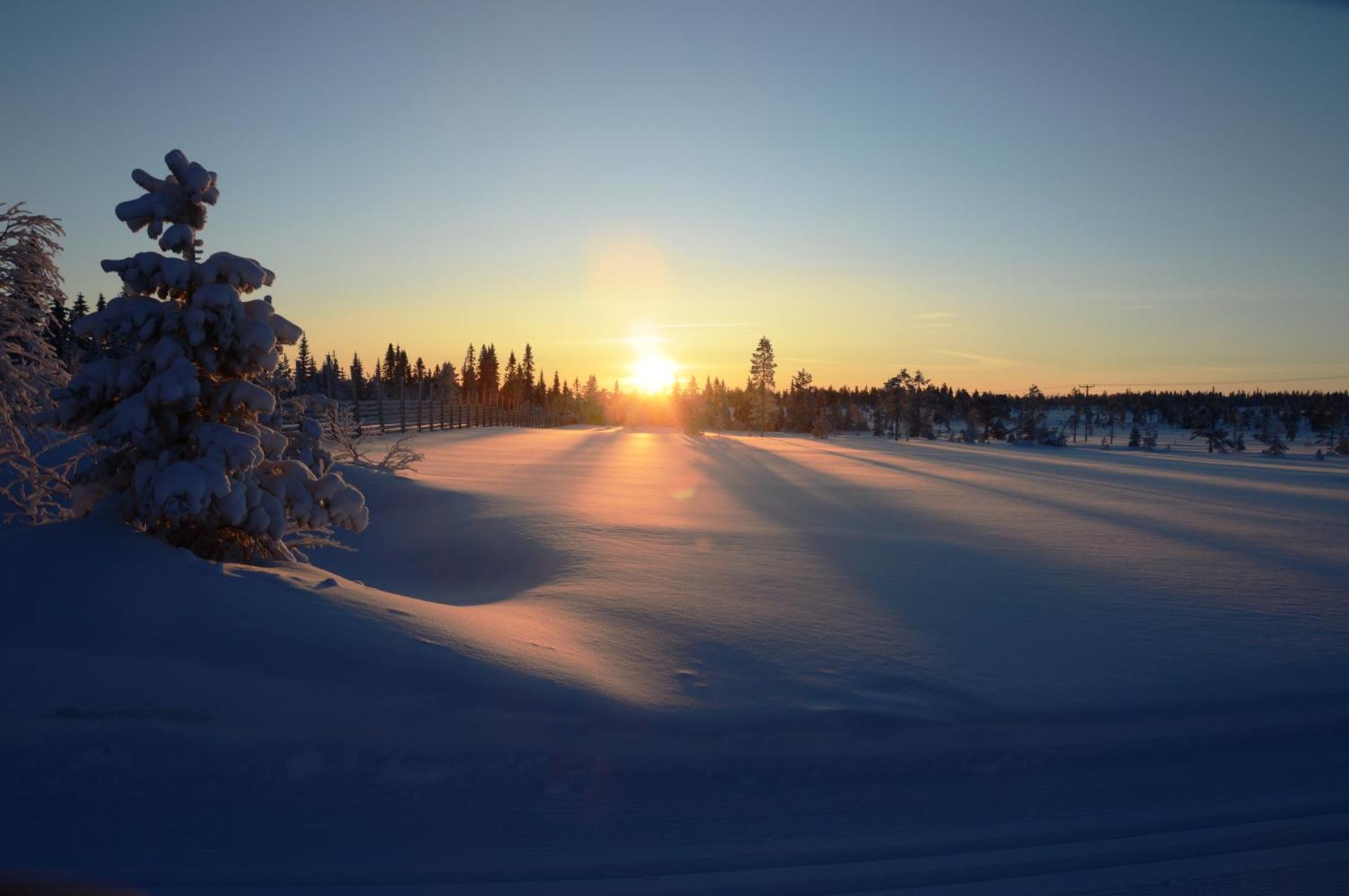 12 - Fulufjellets Nasjonalparker - Natur-, Dyre- Og Fugleopplevelser Ljørdal エクステリア 写真