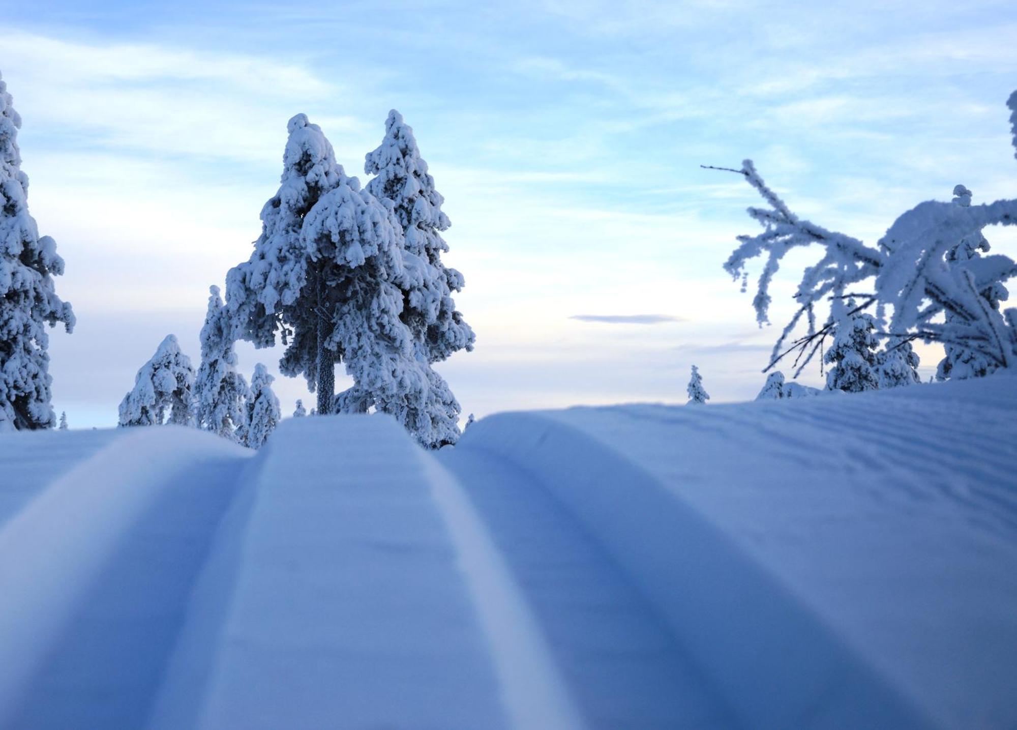 12 - Fulufjellets Nasjonalparker - Natur-, Dyre- Og Fugleopplevelser Ljørdal エクステリア 写真