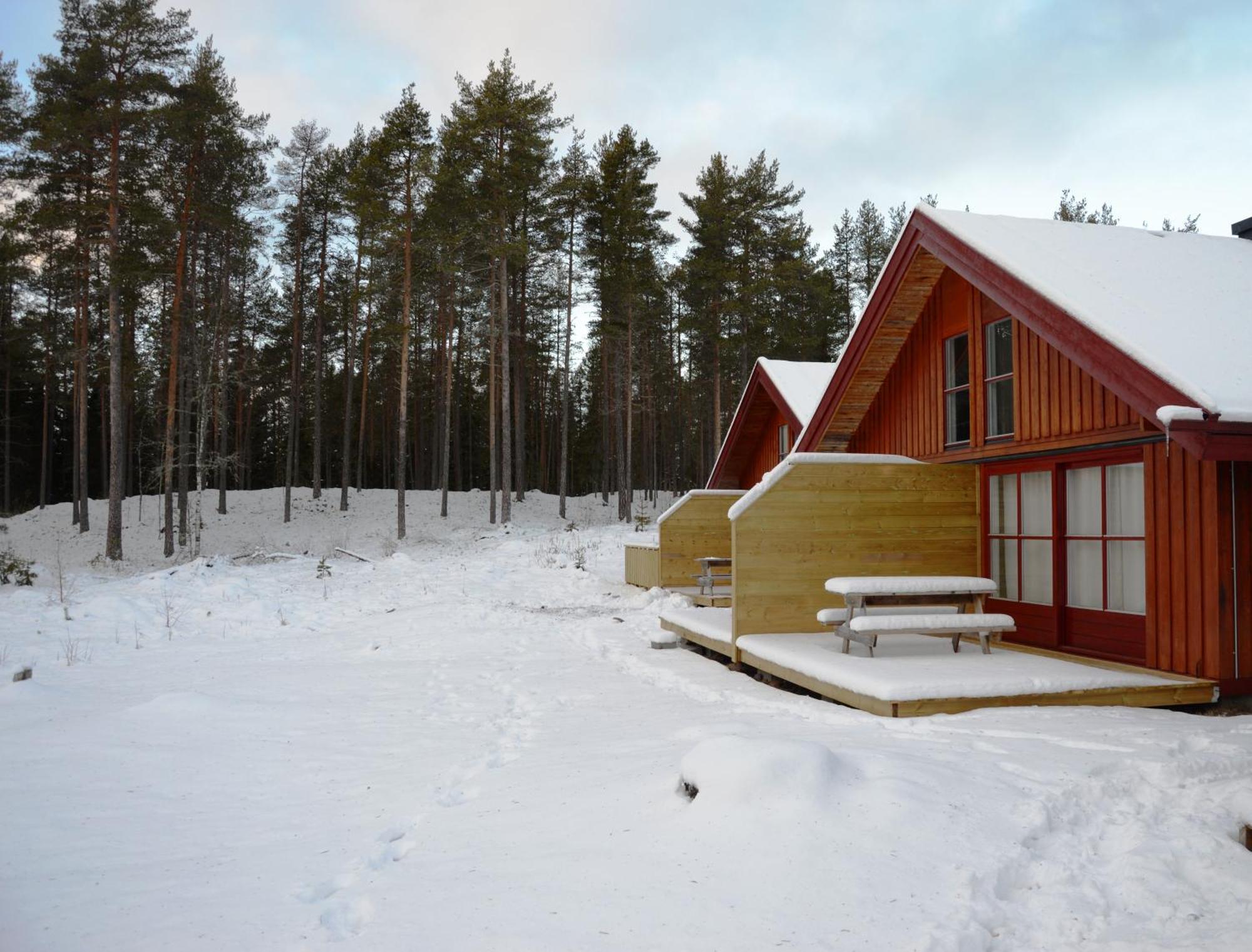 12 - Fulufjellets Nasjonalparker - Natur-, Dyre- Og Fugleopplevelser Ljørdal エクステリア 写真