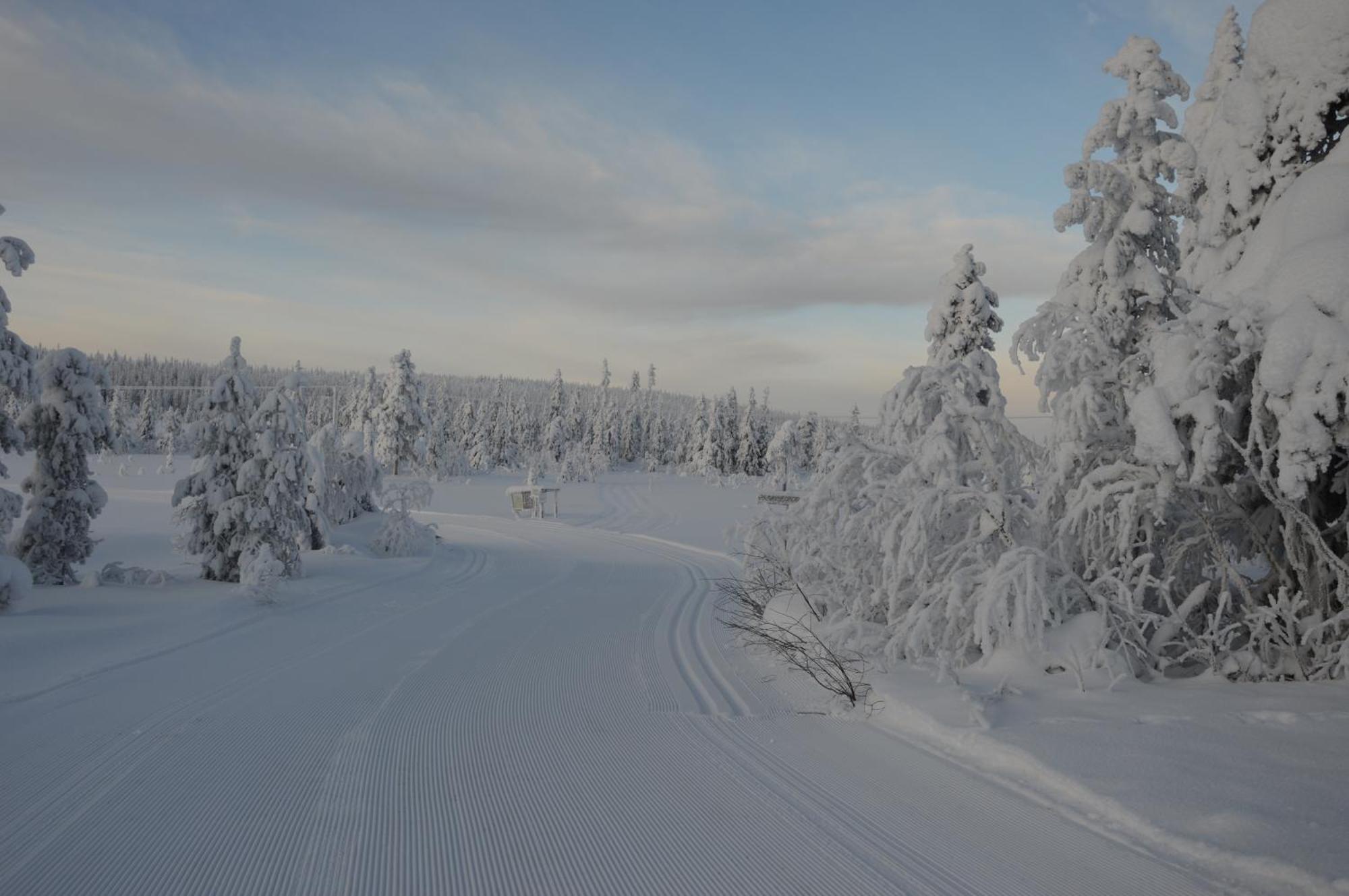 12 - Fulufjellets Nasjonalparker - Natur-, Dyre- Og Fugleopplevelser Ljørdal エクステリア 写真
