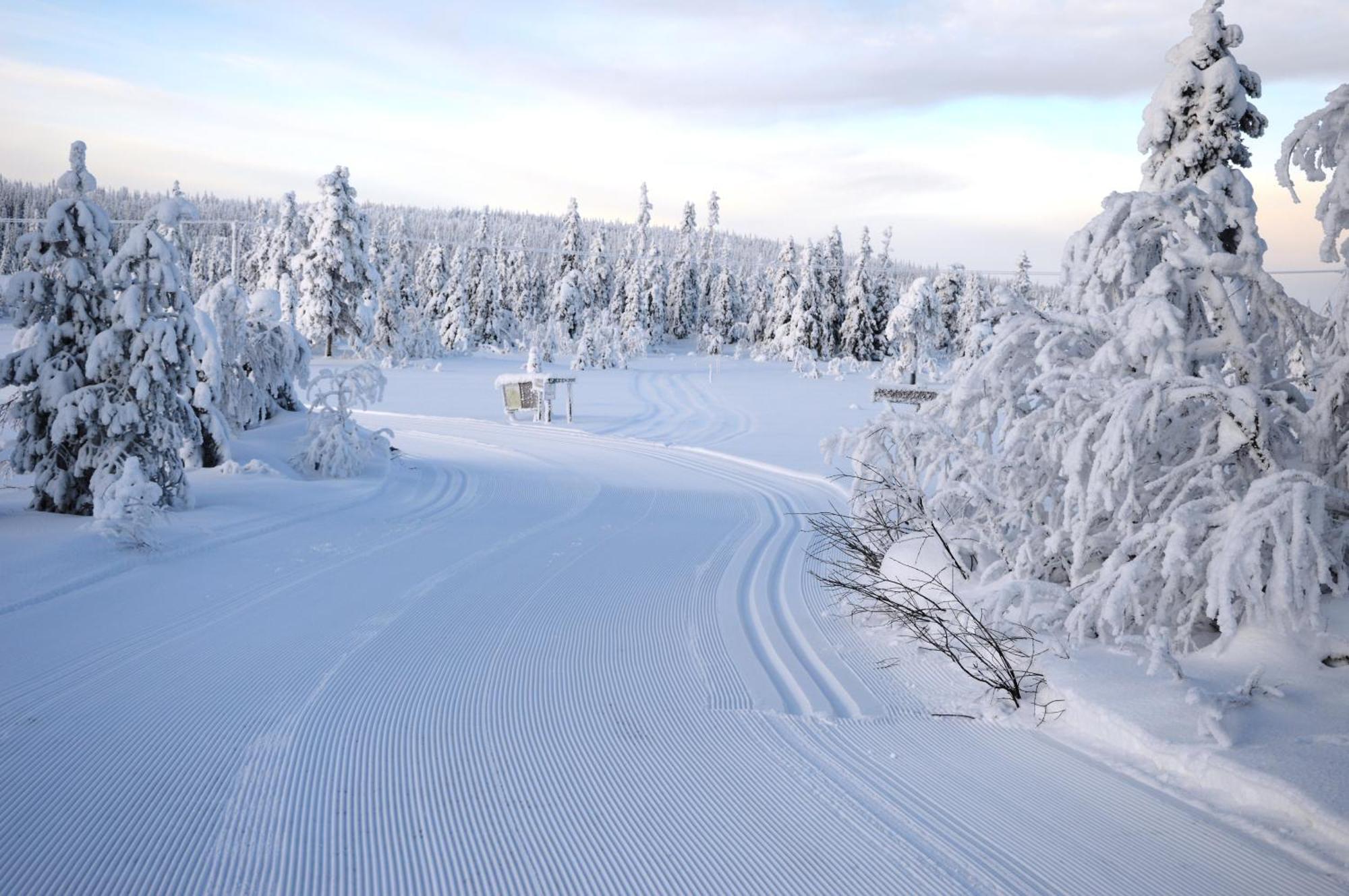 12 - Fulufjellets Nasjonalparker - Natur-, Dyre- Og Fugleopplevelser Ljørdal エクステリア 写真