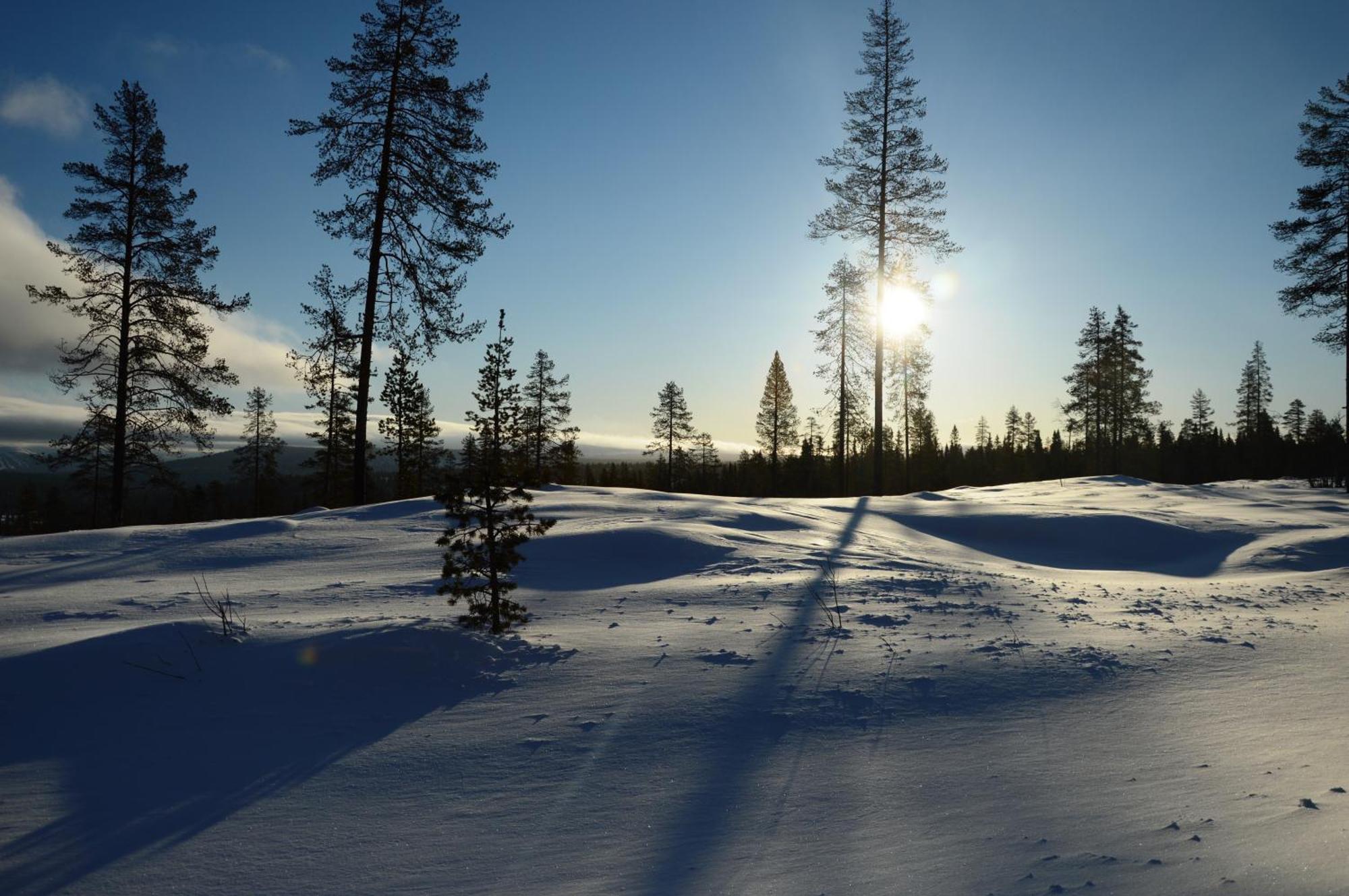 12 - Fulufjellets Nasjonalparker - Natur-, Dyre- Og Fugleopplevelser Ljørdal エクステリア 写真