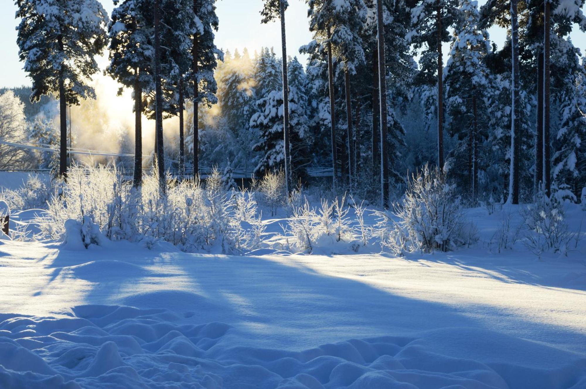 12 - Fulufjellets Nasjonalparker - Natur-, Dyre- Og Fugleopplevelser Ljørdal エクステリア 写真