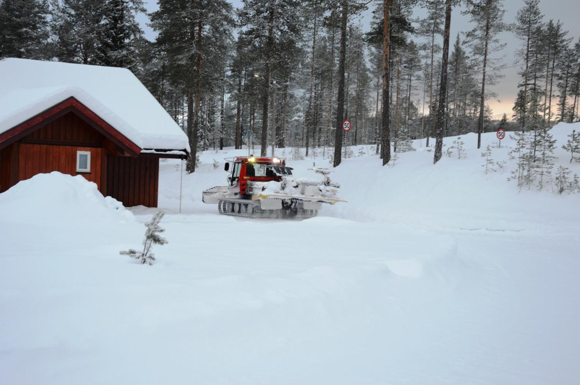 12 - Fulufjellets Nasjonalparker - Natur-, Dyre- Og Fugleopplevelser Ljørdal エクステリア 写真