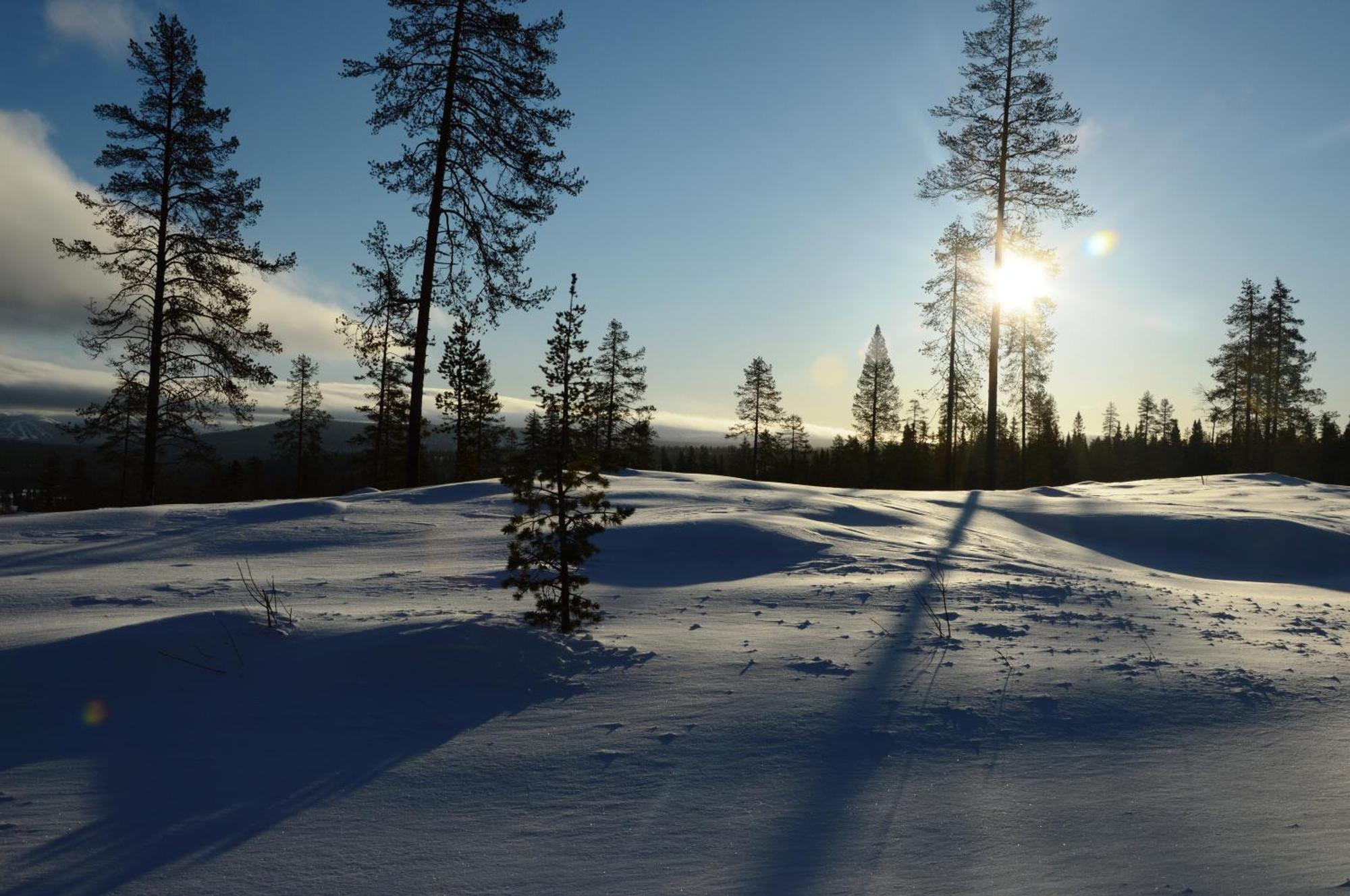 12 - Fulufjellets Nasjonalparker - Natur-, Dyre- Og Fugleopplevelser Ljørdal エクステリア 写真