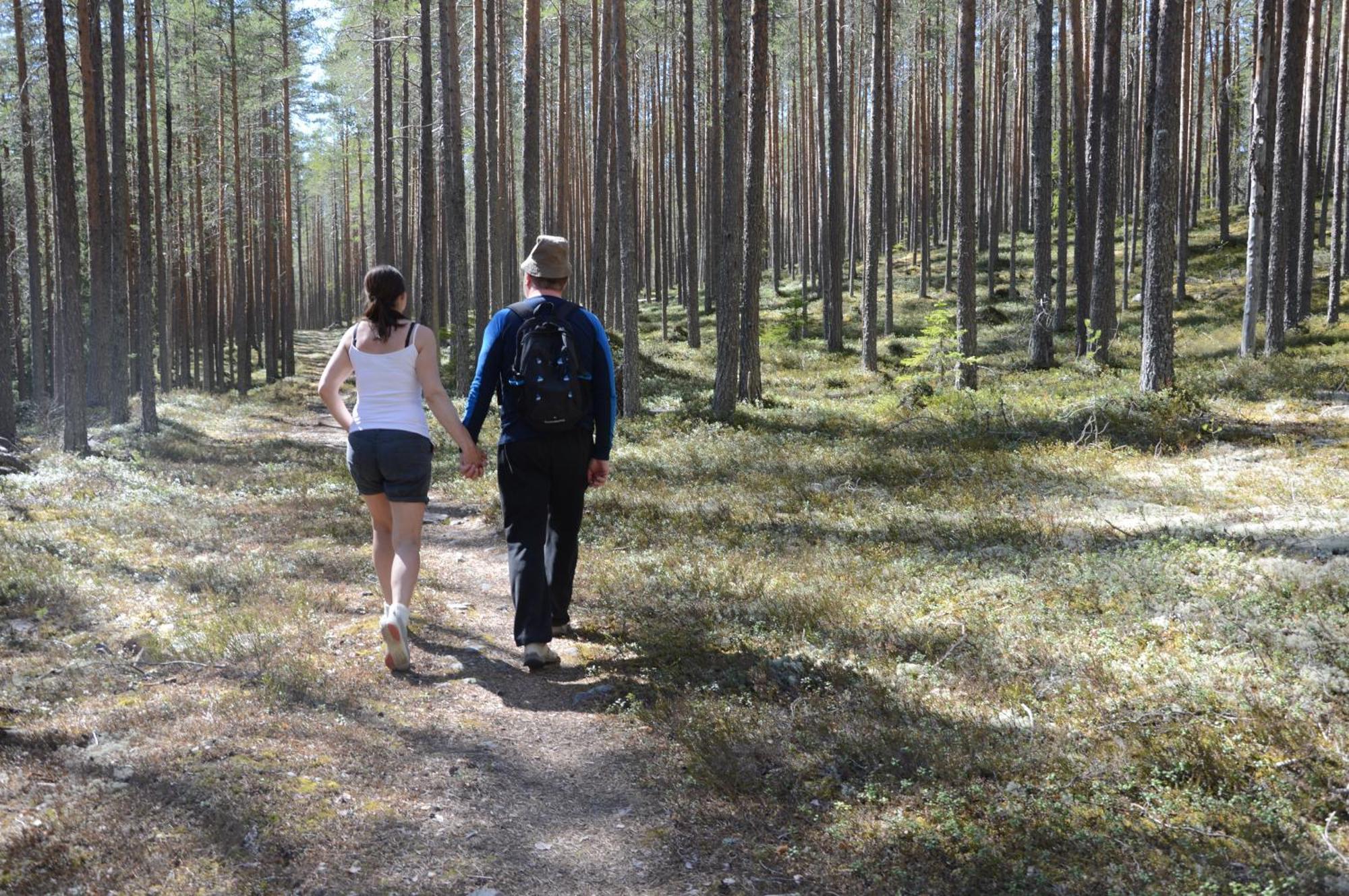 12 - Fulufjellets Nasjonalparker - Natur-, Dyre- Og Fugleopplevelser Ljørdal エクステリア 写真