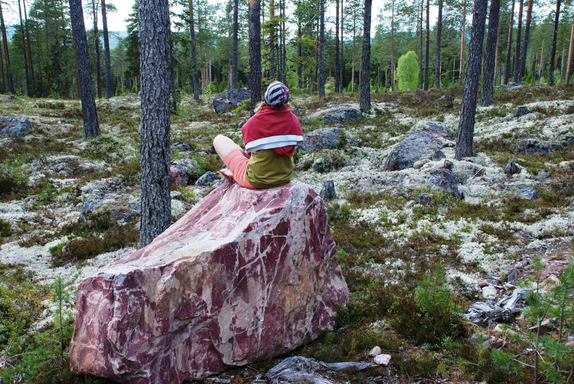 12 - Fulufjellets Nasjonalparker - Natur-, Dyre- Og Fugleopplevelser Ljørdal エクステリア 写真