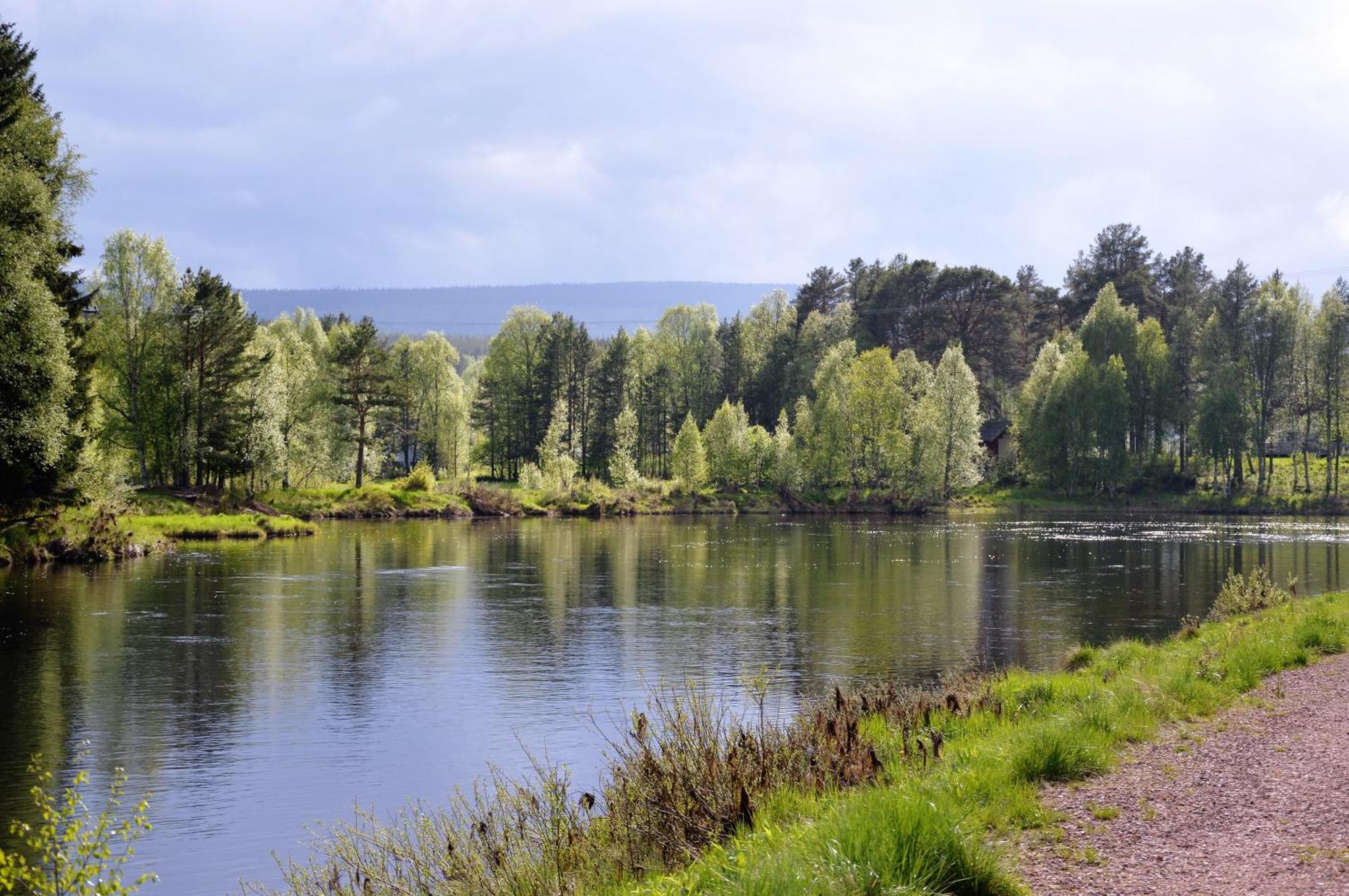 12 - Fulufjellets Nasjonalparker - Natur-, Dyre- Og Fugleopplevelser Ljørdal エクステリア 写真