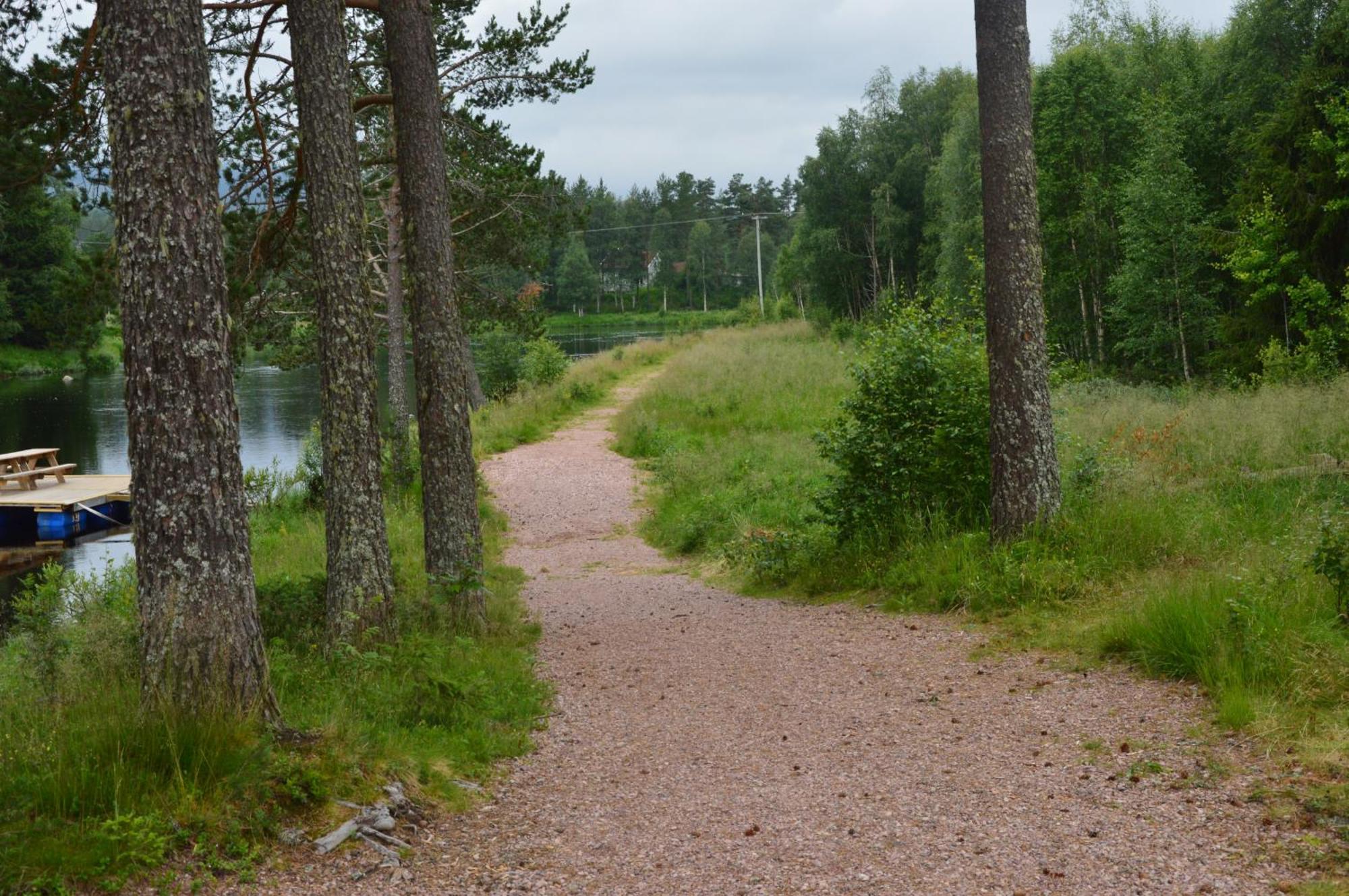 12 - Fulufjellets Nasjonalparker - Natur-, Dyre- Og Fugleopplevelser Ljørdal エクステリア 写真