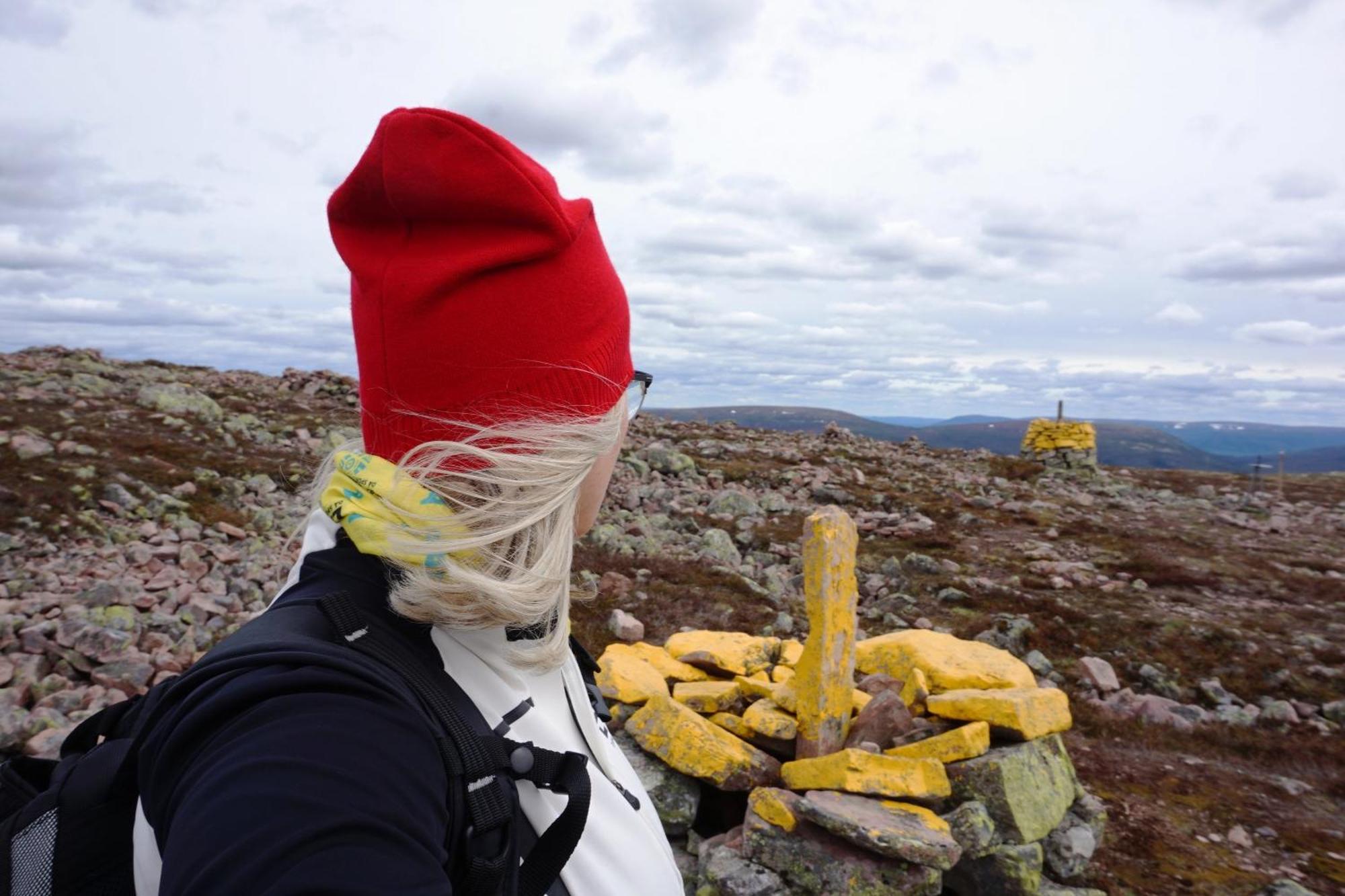 12 - Fulufjellets Nasjonalparker - Natur-, Dyre- Og Fugleopplevelser Ljørdal エクステリア 写真