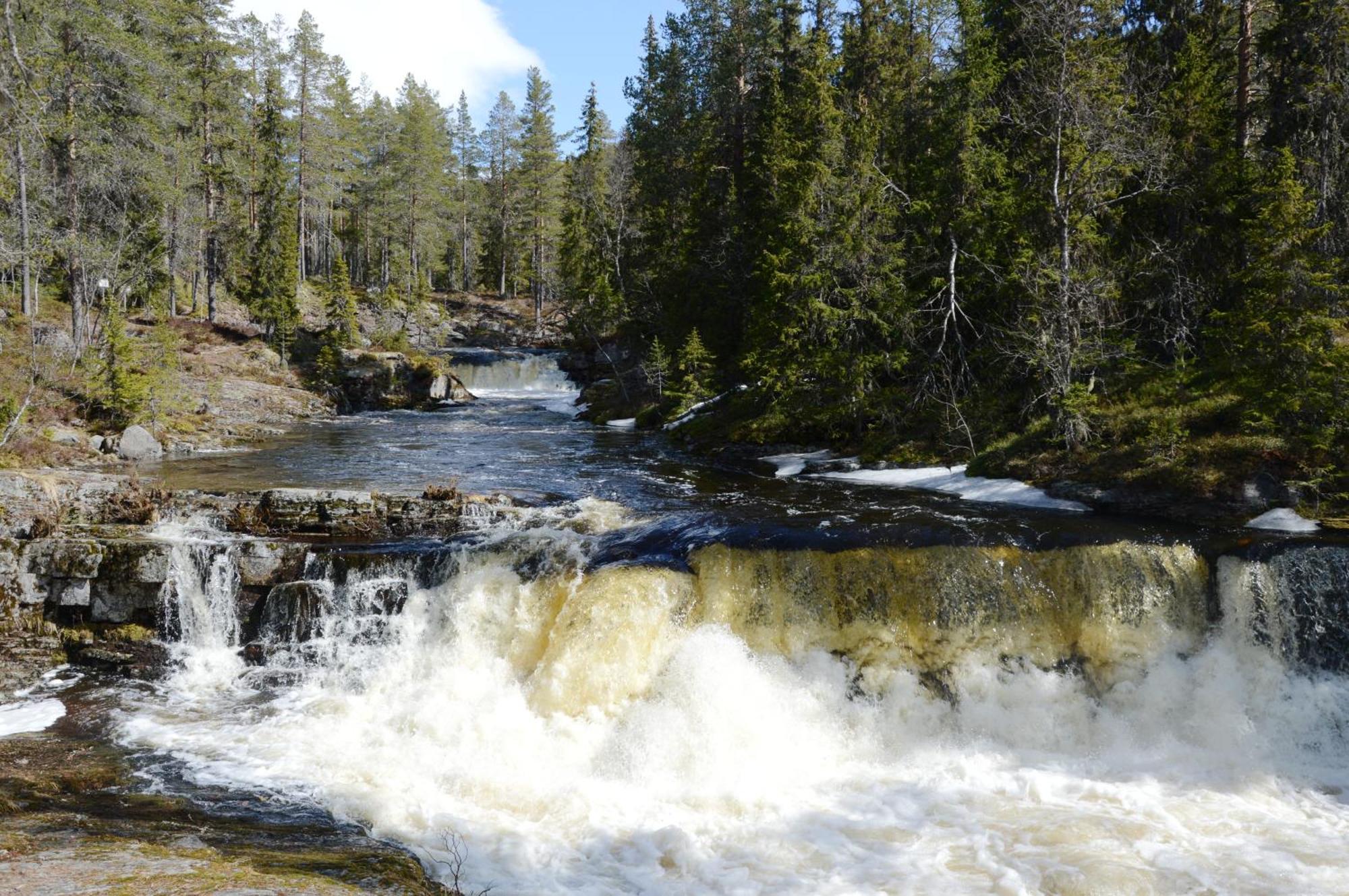 12 - Fulufjellets Nasjonalparker - Natur-, Dyre- Og Fugleopplevelser Ljørdal エクステリア 写真
