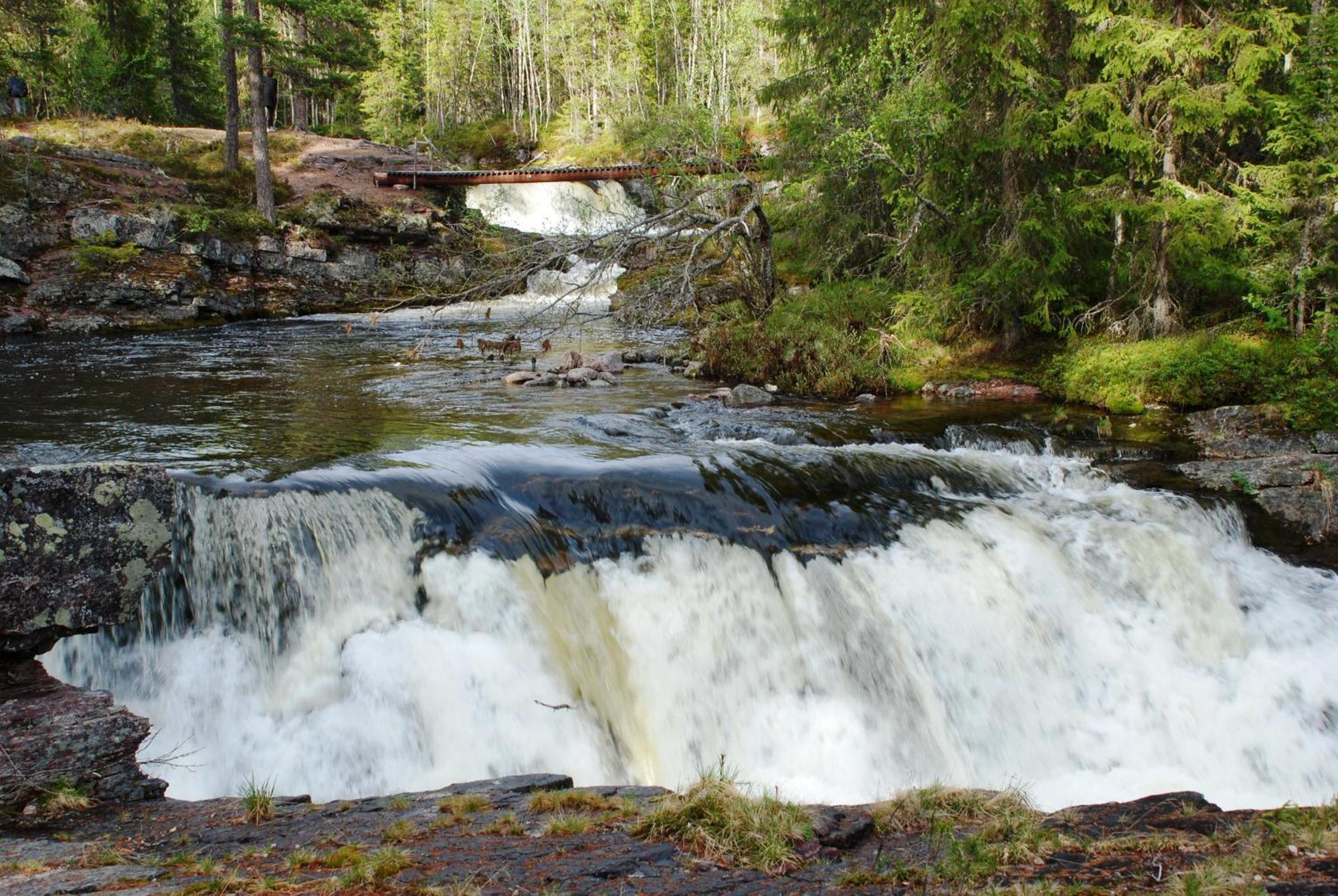 12 - Fulufjellets Nasjonalparker - Natur-, Dyre- Og Fugleopplevelser Ljørdal エクステリア 写真