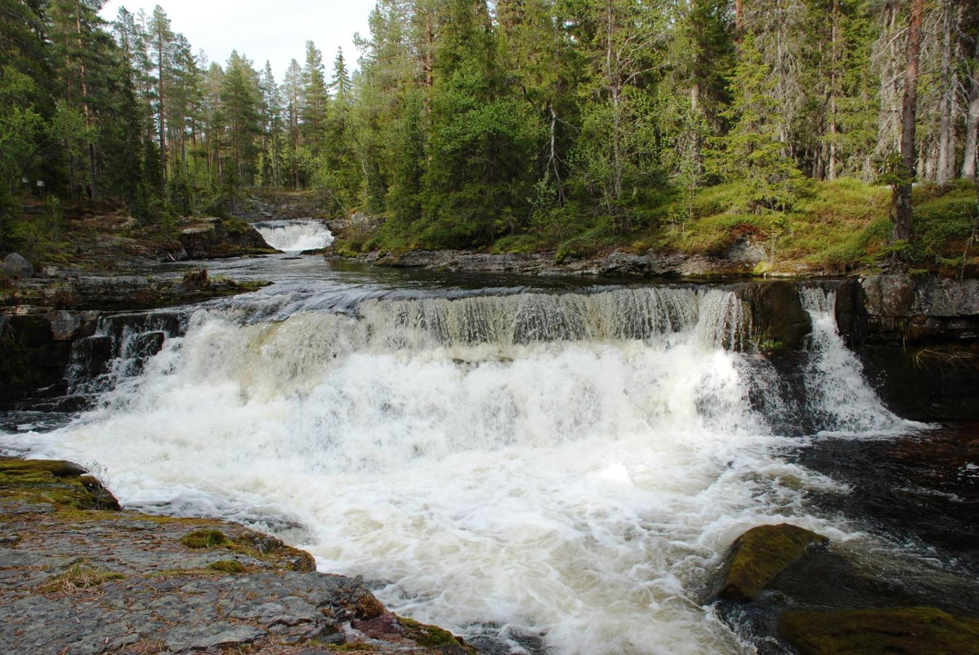 12 - Fulufjellets Nasjonalparker - Natur-, Dyre- Og Fugleopplevelser Ljørdal エクステリア 写真