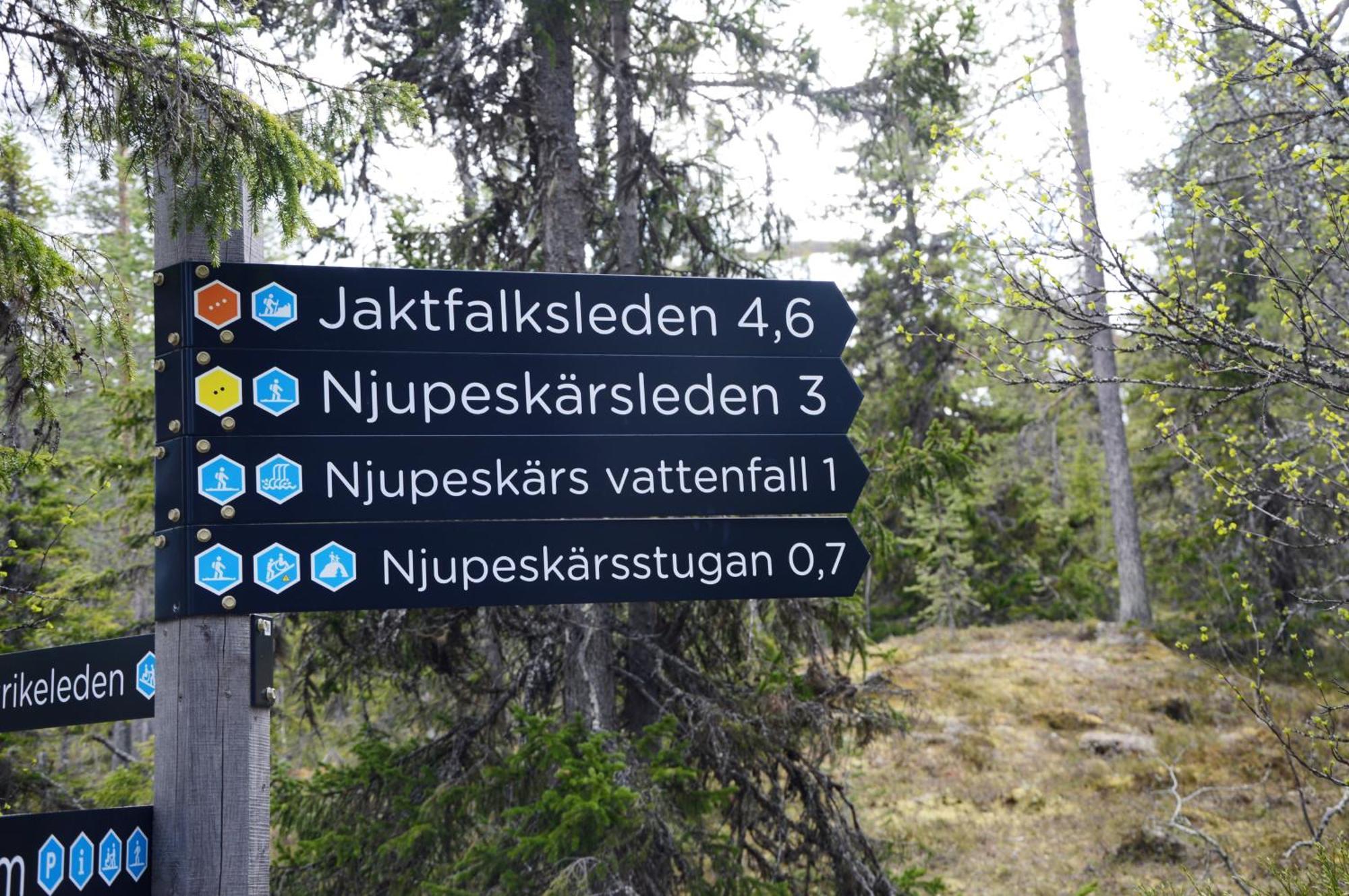 12 - Fulufjellets Nasjonalparker - Natur-, Dyre- Og Fugleopplevelser Ljørdal エクステリア 写真
