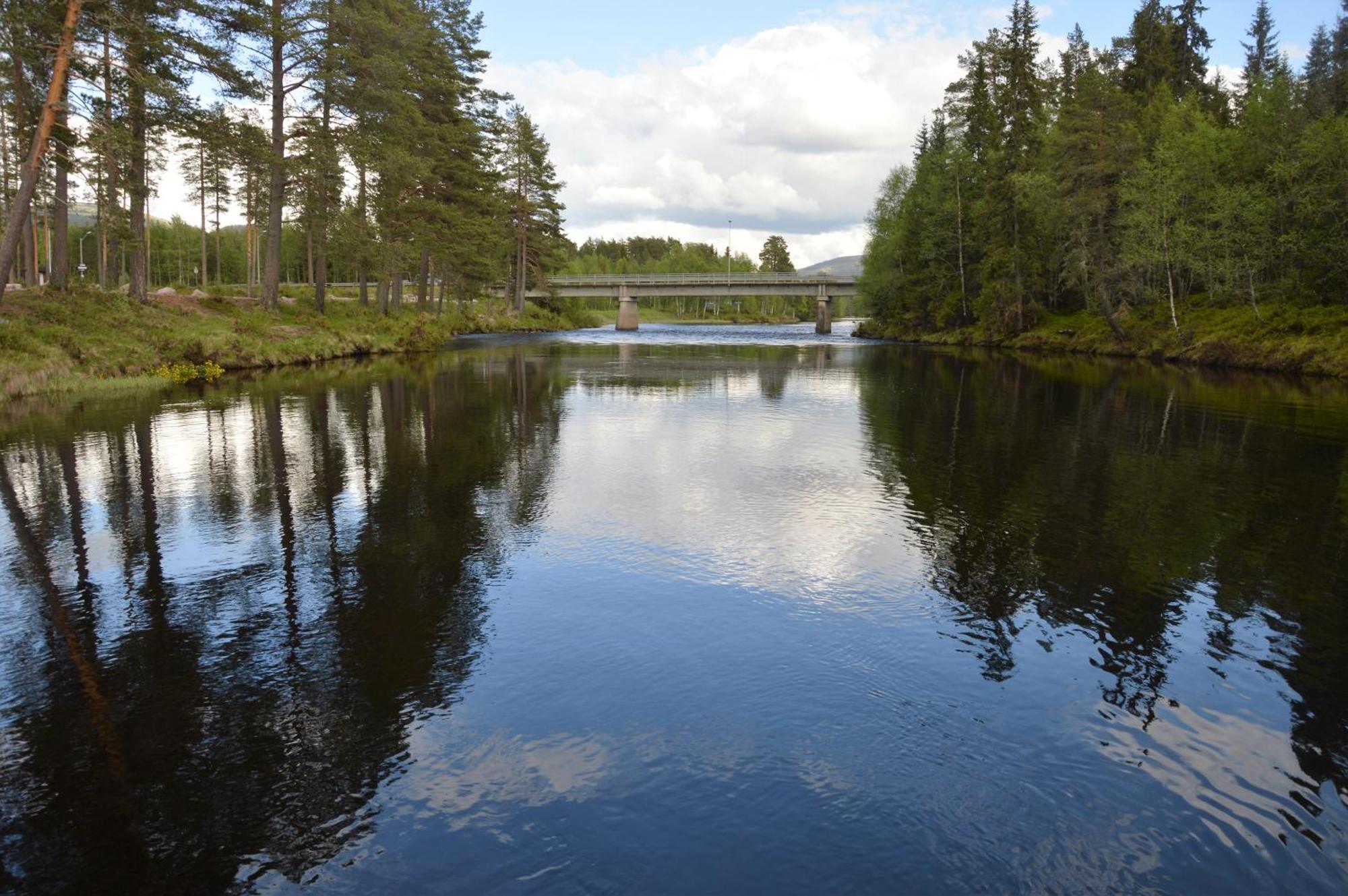 12 - Fulufjellets Nasjonalparker - Natur-, Dyre- Og Fugleopplevelser Ljørdal エクステリア 写真