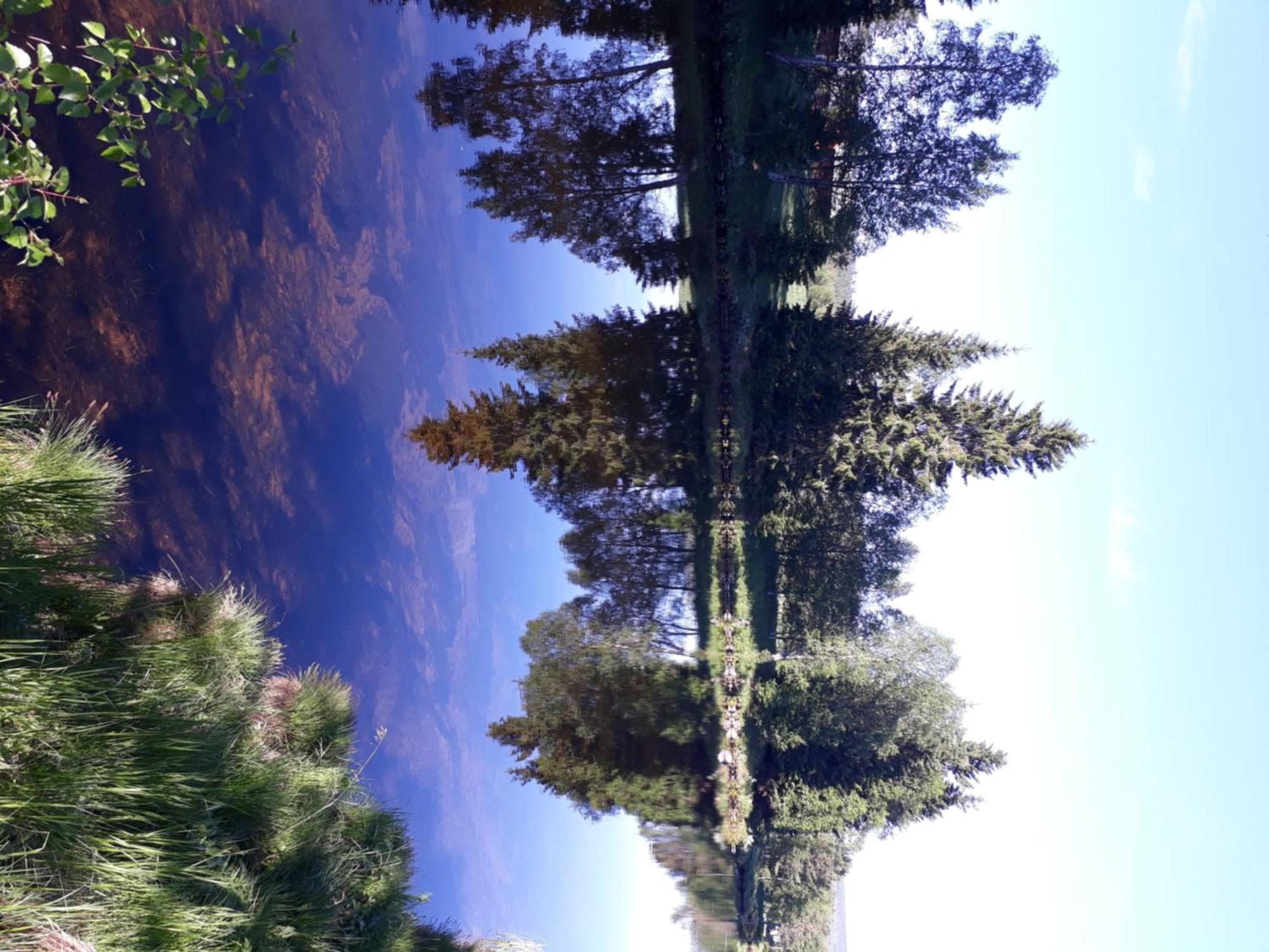 12 - Fulufjellets Nasjonalparker - Natur-, Dyre- Og Fugleopplevelser Ljørdal エクステリア 写真